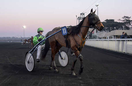 Actualités Hippiques